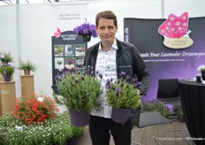 Henrik Romme comparing their new Lavendula Early Summer improved (on the right) with their existing dark purple variety Favorite Summer. “One can clearly see that Early summer has more darker purple flowers and is more compact – and naturally compact as no PGR’s are needed. On top of that, it is continuous and long flowering – almost the first to start and the last to stop.”